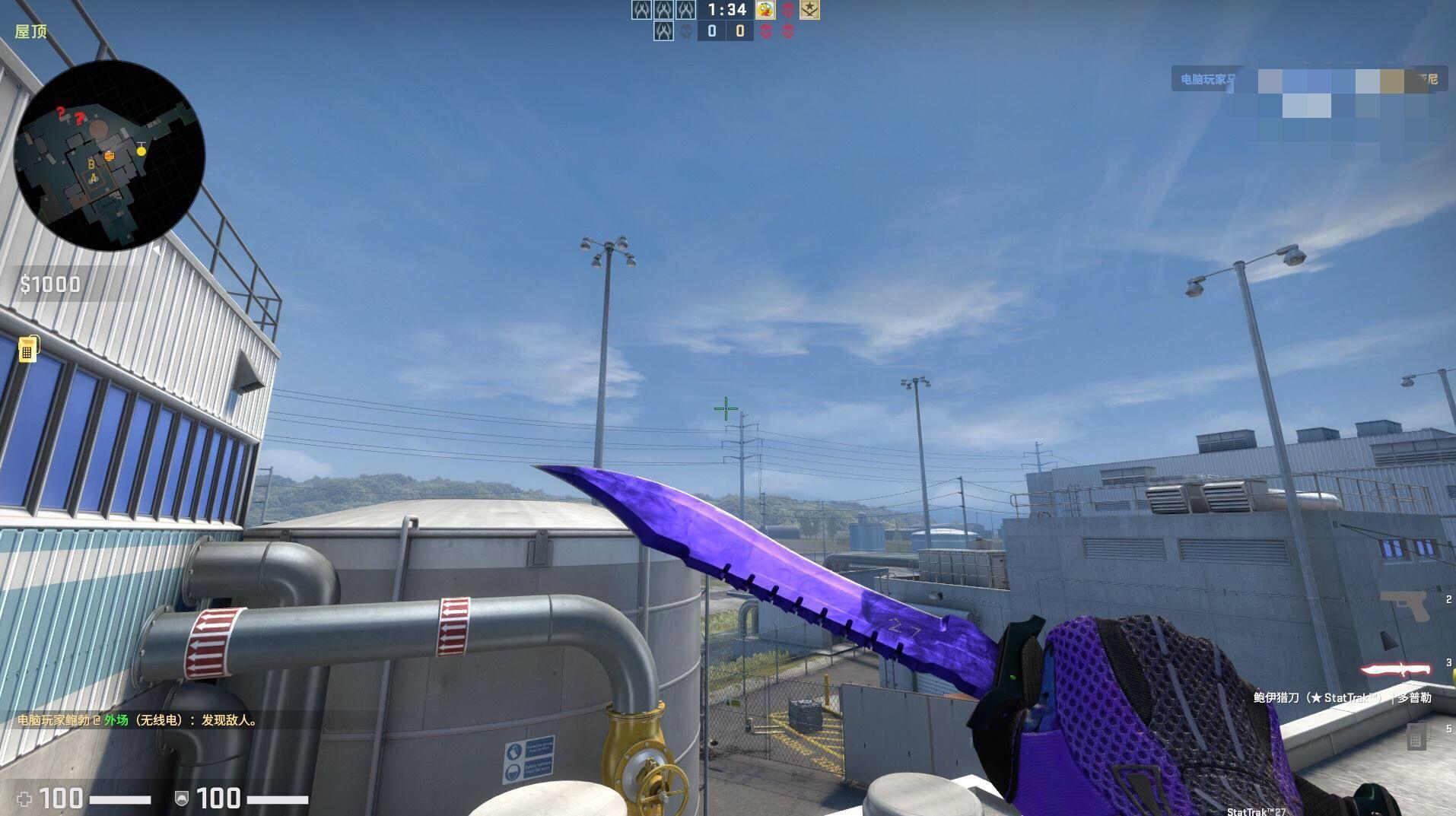 csgo刀皮肤大集合： 从实用到稀有一网打尽(收藏价值较高的刀皮肤集锦)