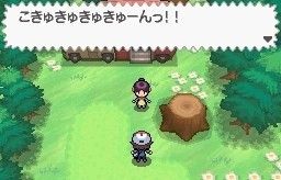 口袋妖怪黑白神兽捕捉图文攻略