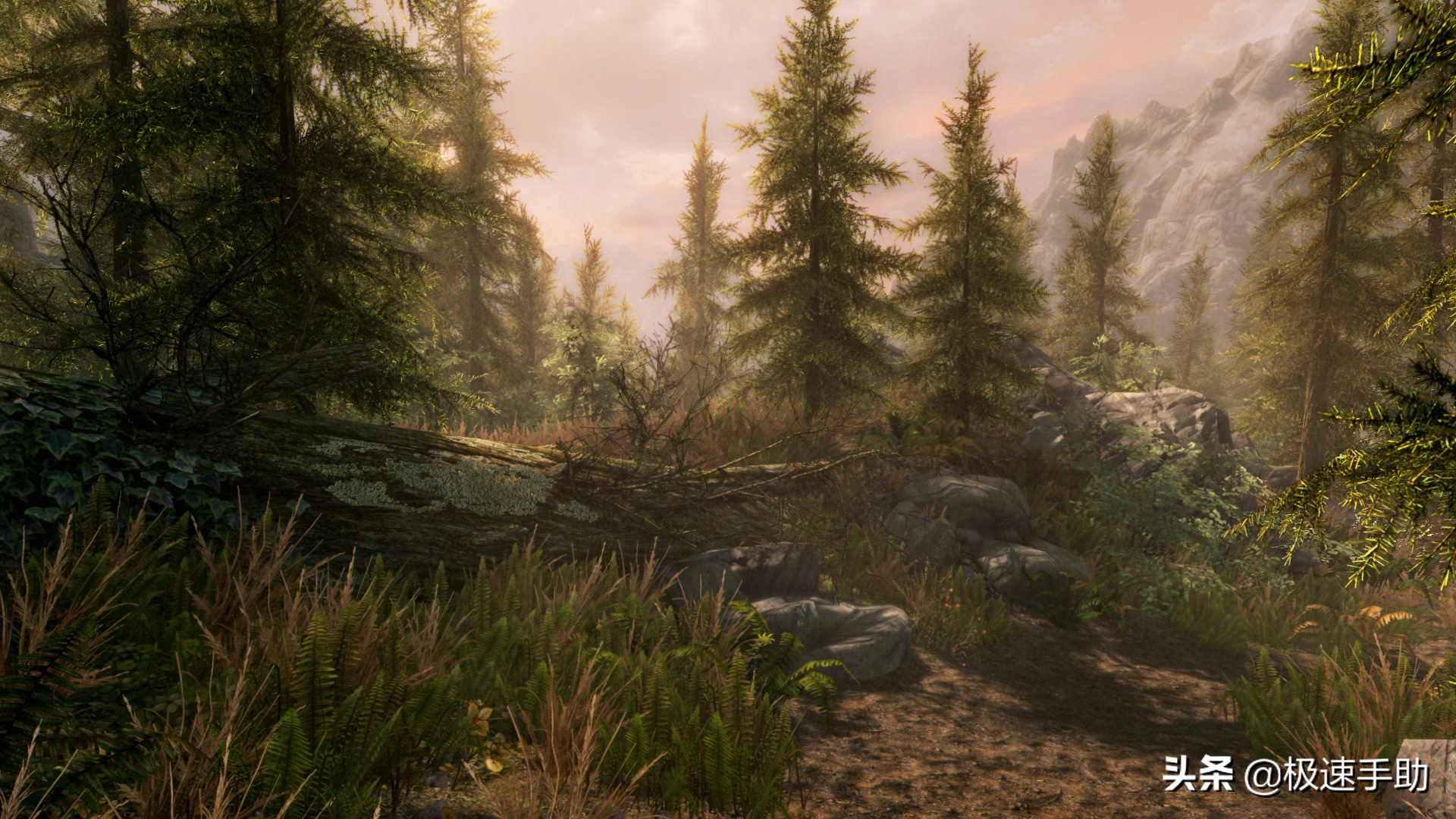 上古卷轴5配置要求，上古卷轴5配置文件在哪？