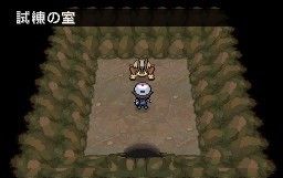 口袋妖怪黑白神兽捕捉图文攻略