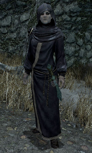 上古卷轴5随从排行,随从不见了怎么调回来? 上古卷轴5随从排行,随从不见了怎么调回来?