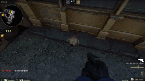 csgo怎么玩鸡(csgo鸡怎么跟着人走)? csgo怎么玩鸡(csgo鸡怎么跟着人走)?