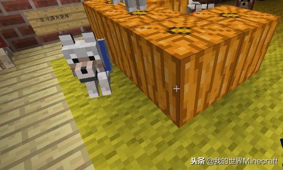 我的世界青金石有什么用,我的世界青金石在几层? 我的世界青金石有什么用,我的世界青金石在几层?