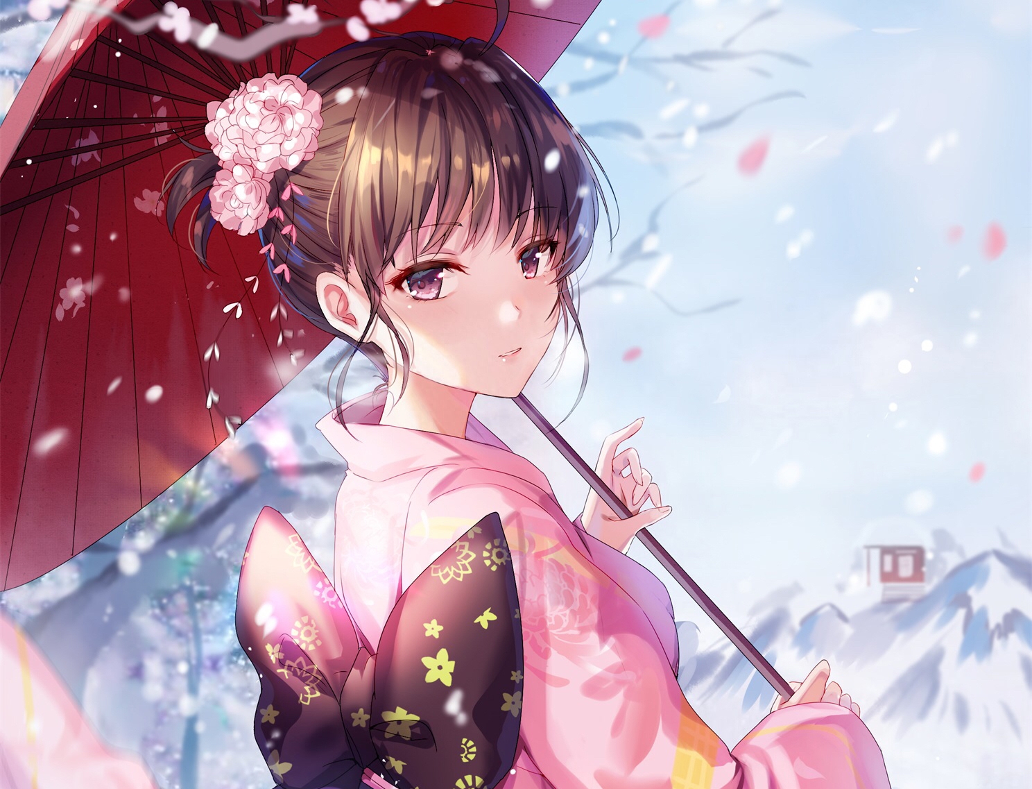 fgo两仪式强度测评，fgo两仪式什么时候复刻？