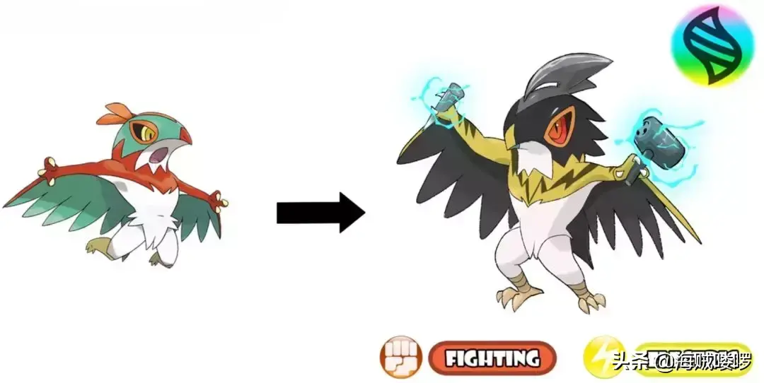 爆焰龟兽种族值，爆焰龟兽的进化链