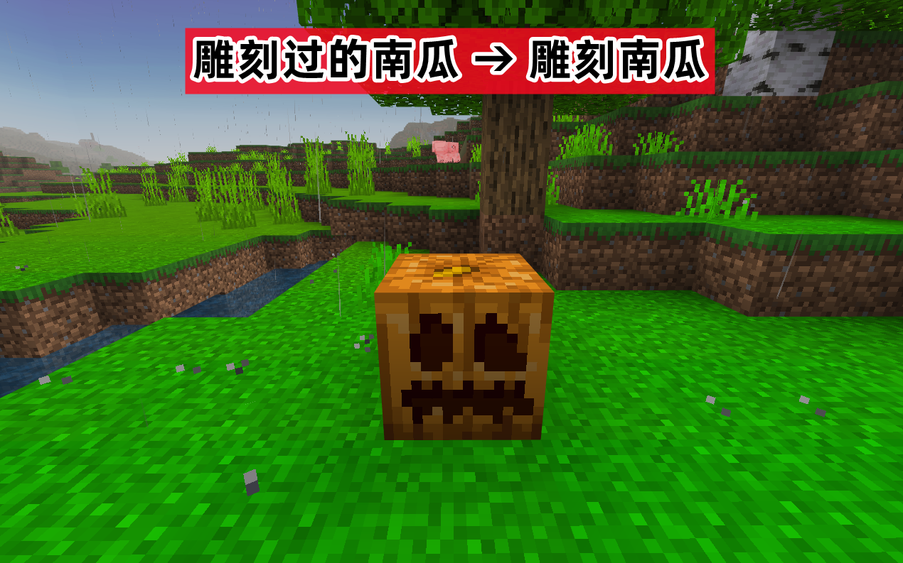我的世界南瓜怎么种,我的世界南瓜怎么雕刻? 我的世界南瓜怎么种,我的世界南瓜怎么雕刻?