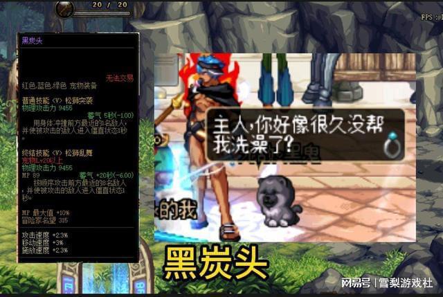 黑炭头宠物属性，黑炭头是什么意思（头像图片）