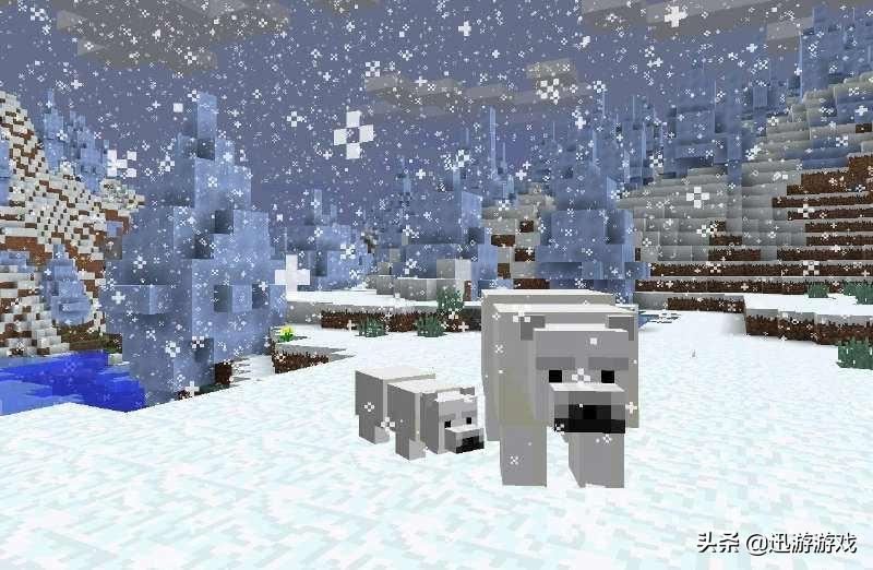 我的世界北极熊怎么驯服,我的世界北极熊吃什么才能繁殖? 我的世界北极熊怎么驯服,我的世界北极熊吃什么才能繁殖?