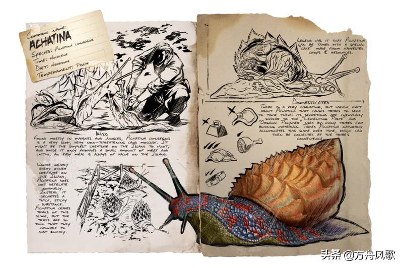 方舟生物代码大全,方舟生物代码直接驯服指令 方舟生物代码大全,方舟生物代码直接驯服指令