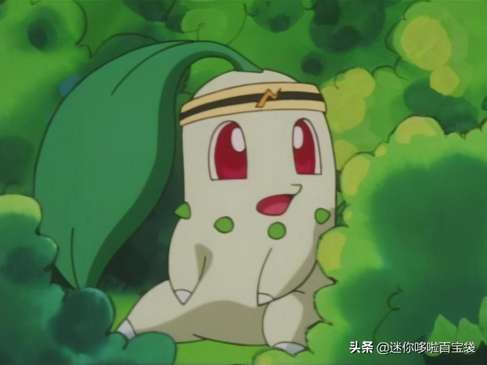 菊草叶进化图，菊草叶性格配招