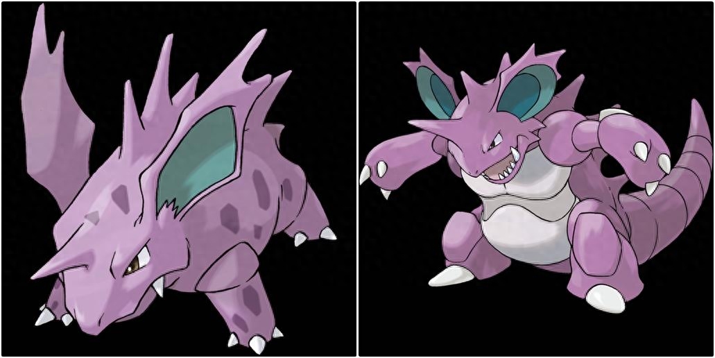 尼多王性格配招,尼多王怎么进化? 尼多王性格配招,尼多王怎么进化?