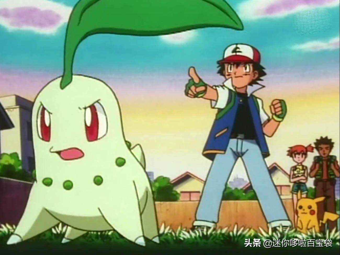 菊草叶进化图，菊草叶性格配招