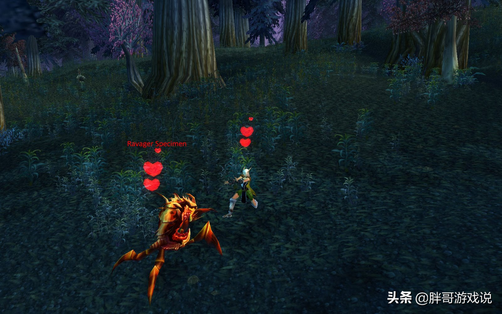 魔兽tbc猎人宝宝推荐,tbc猎人宝宝技能等级大全 魔兽tbc猎人宝宝推荐,tbc猎人宝宝技能等级大全