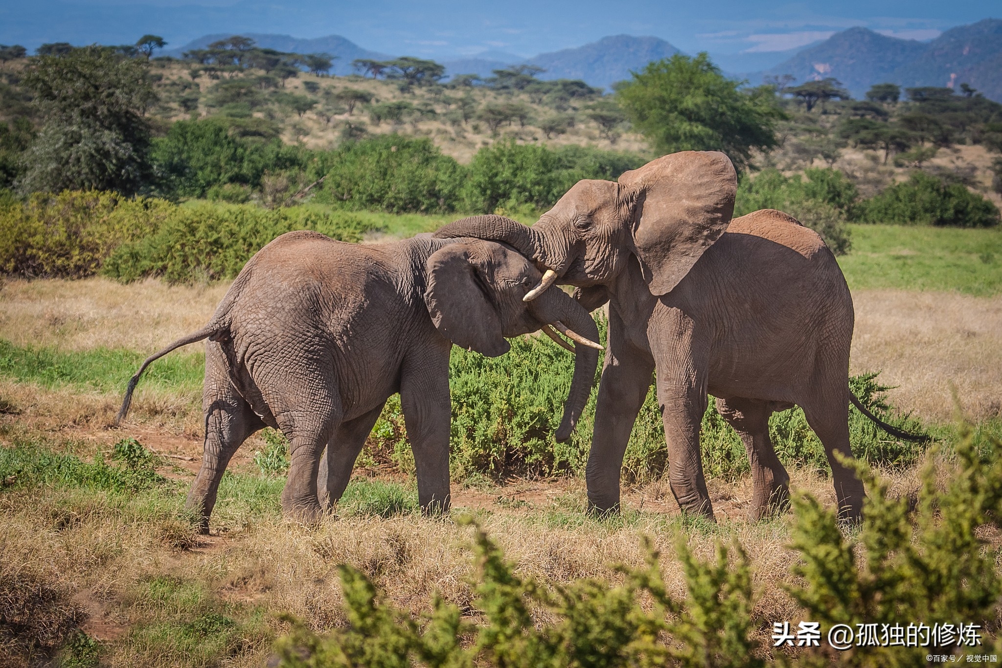 博德之门2最强职业,博德之门2好玩吗? 博德之门2最强职业,博德之门2好玩吗?