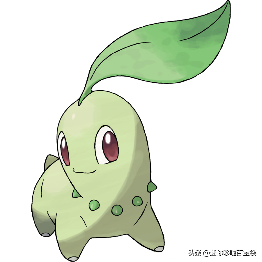 菊草叶进化图，菊草叶性格配招