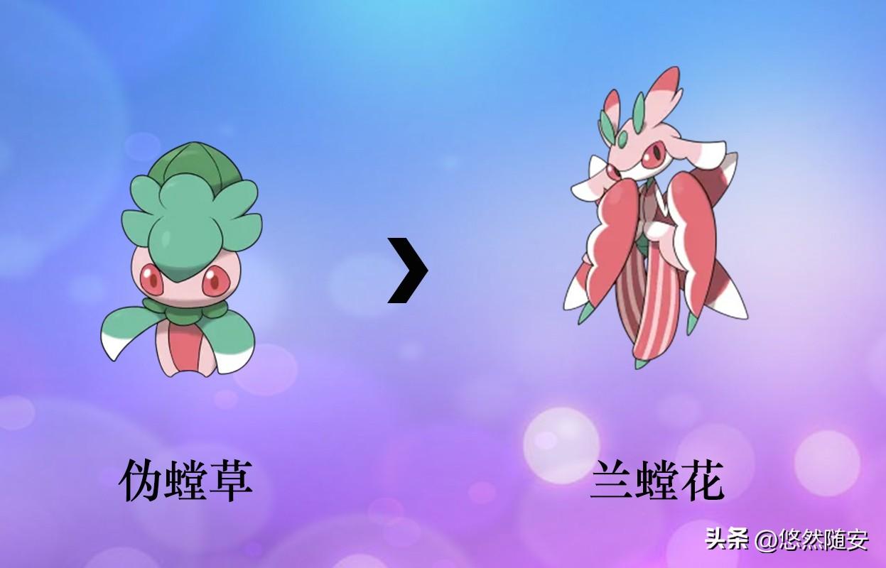 伪螳草怎么进化成兰螳花，伪螳草进化顺序图  伪螳草＞兰螳花