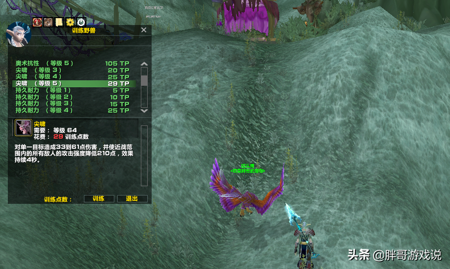 魔兽tbc猎人宝宝推荐,tbc猎人宝宝技能等级大全 魔兽tbc猎人宝宝推荐,tbc猎人宝宝技能等级大全