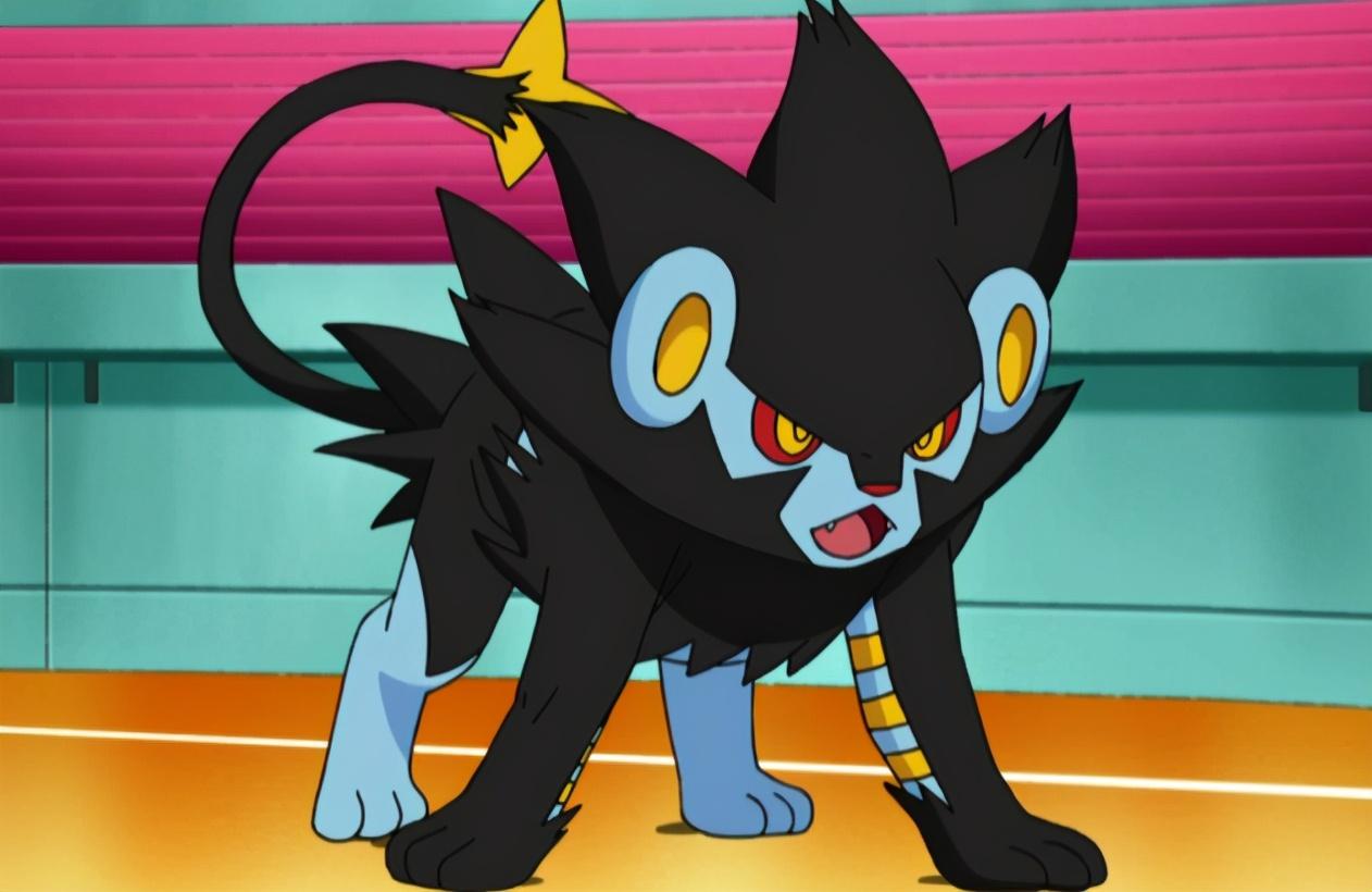 伦琴猫种族值技能，伦琴猫性格配招