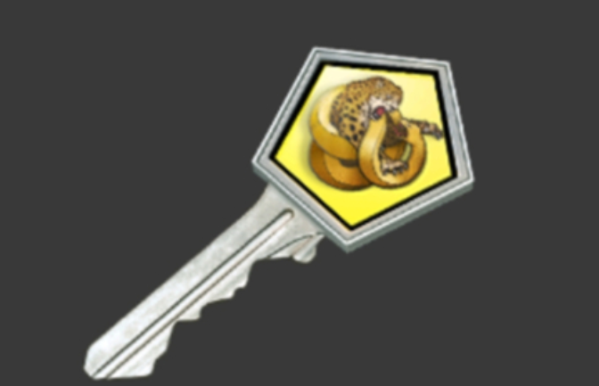 csgo怎么买箱子和钥匙(csgo箱子开哪个性价比高)？