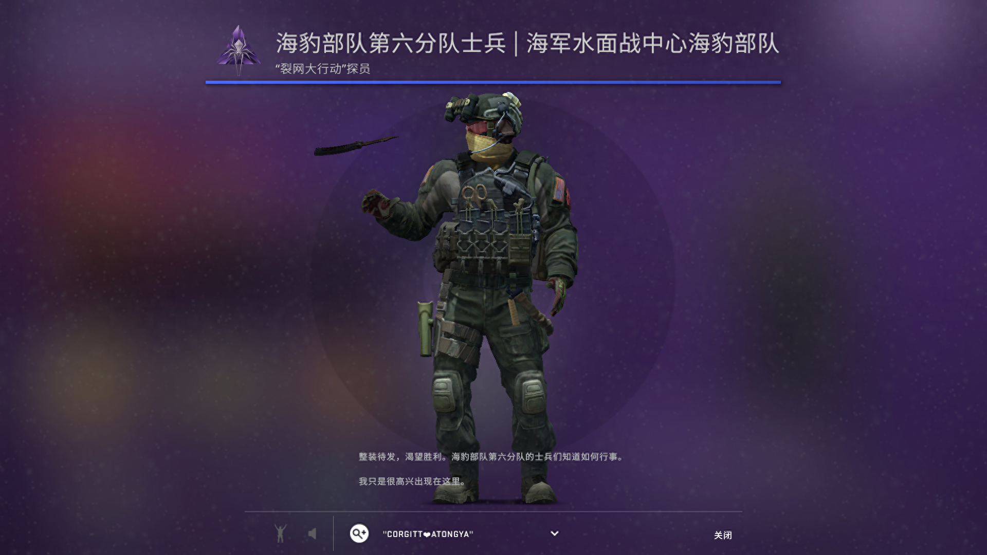 csgo探员皮肤每个地图都可以用吗(csgo探员皮肤哪个好用)？