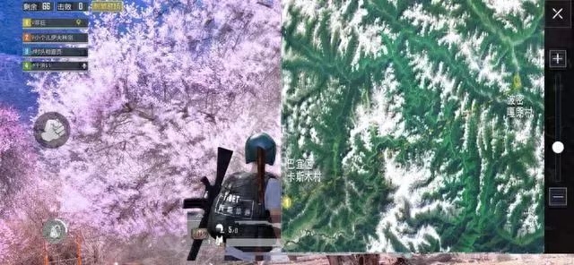 和平精英桃花树的位置在哪里(桃花林在哪里) 和平精英桃花树的位置在哪里(桃花林在哪里)