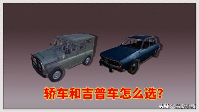 和平精英特斯拉贴膜怎么用(和平精英贴膜使用教程)