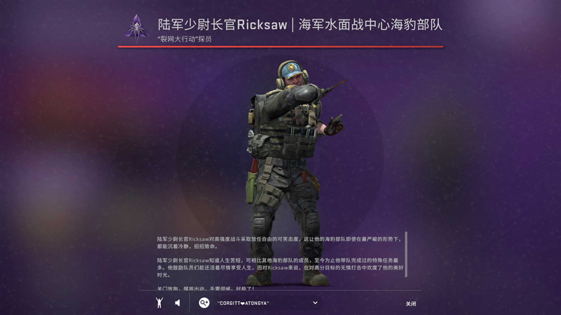 csgo探员皮肤每个地图都可以用吗(csgo探员皮肤哪个好用)？