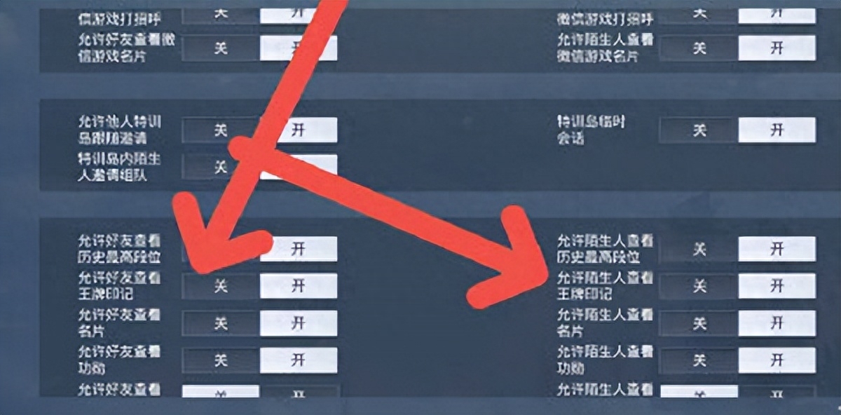 和平精英怎样出生岛不显示王牌印记