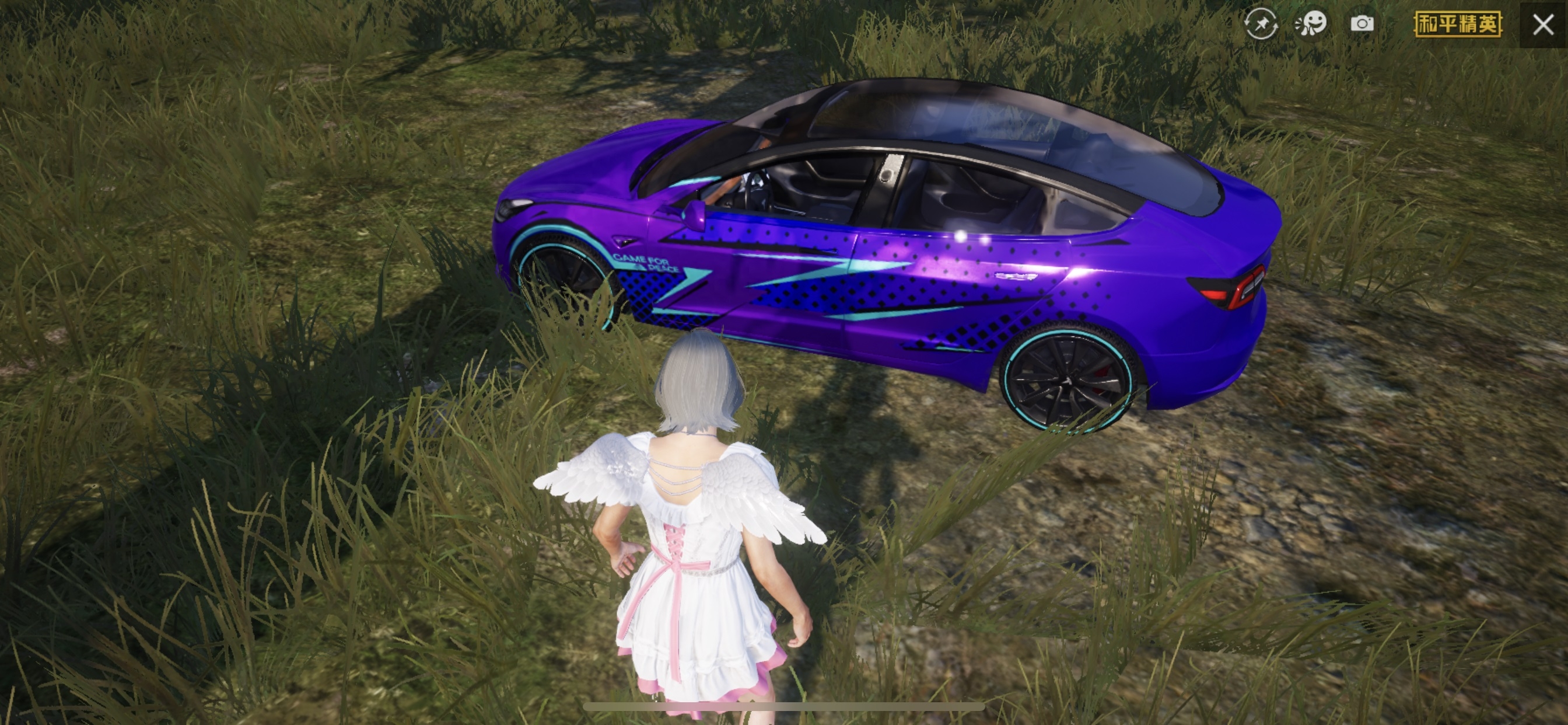  和平精英新款特斯拉测评,特斯拉有什么特别之处