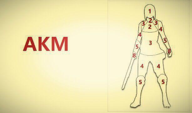  和平精英身体各部位伤害值,伤害机制