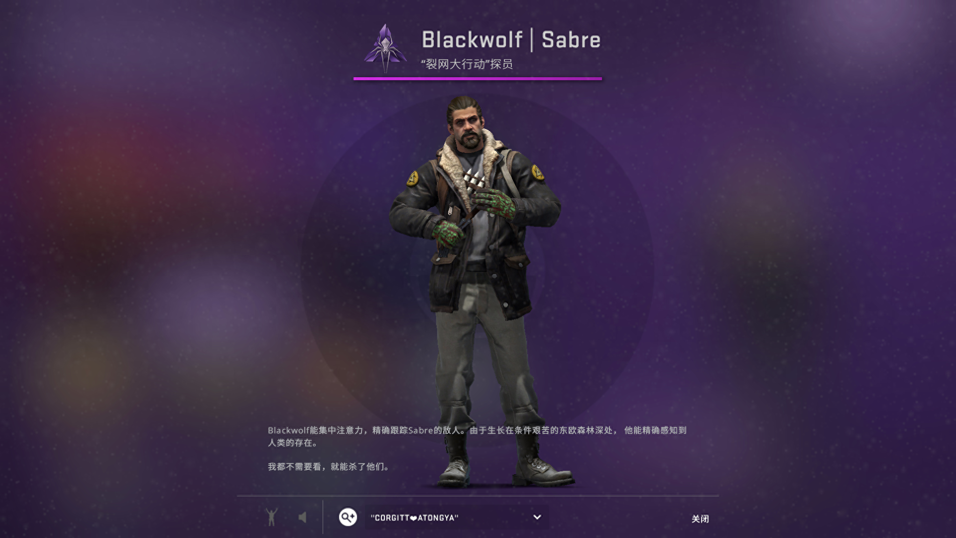 csgo探员皮肤每个地图都可以用吗(csgo探员皮肤哪个好用)？