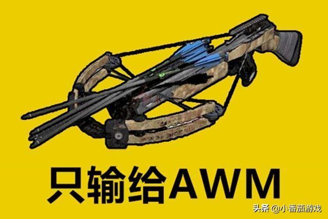 和平精英单发伤害武器排行(武器单点威力子弹伤害最高的枪) 和平精英单发伤害武器排行(武器单点威力子弹伤害最高的枪)