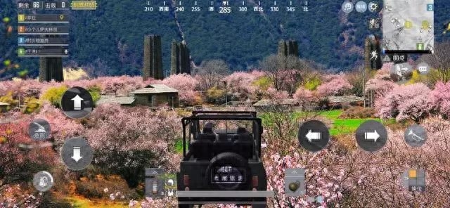 和平精英桃花树的位置在哪里(桃花林在哪里) 和平精英桃花树的位置在哪里(桃花林在哪里)