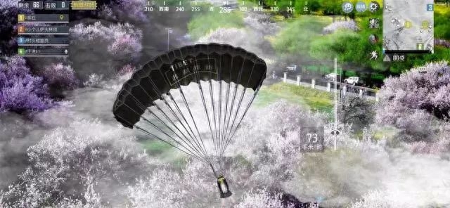 和平精英桃花树的位置在哪里(桃花林在哪里) 和平精英桃花树的位置在哪里(桃花林在哪里)