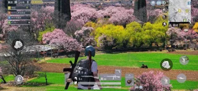 和平精英桃花树的位置在哪里(桃花林在哪里) 和平精英桃花树的位置在哪里(桃花林在哪里)