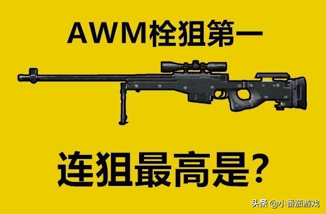 和平精英单发伤害武器排行(武器单点威力子弹伤害最高的枪) 和平精英单发伤害武器排行(武器单点威力子弹伤害最高的枪)