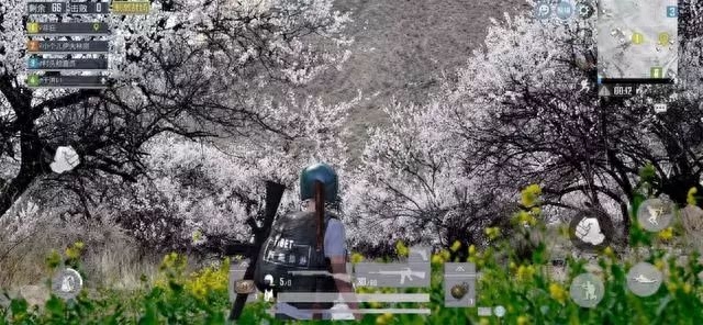 和平精英桃花树的位置在哪里(桃花林在哪里) 和平精英桃花树的位置在哪里(桃花林在哪里)