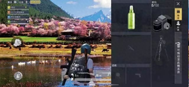 和平精英桃花树的位置在哪里(桃花林在哪里) 和平精英桃花树的位置在哪里(桃花林在哪里)