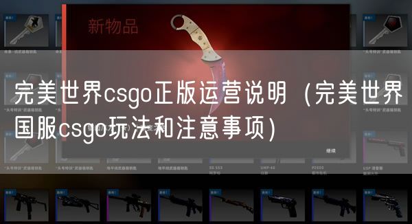 完美世界csgo正版运营说明(完美世界国服csgo玩法和注意事项)