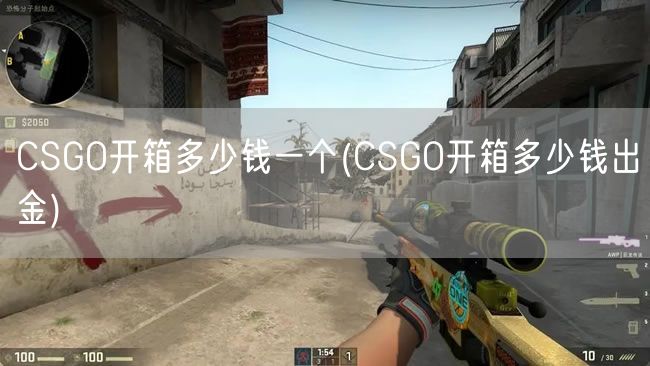 CSGO开箱多少钱一个(CSGO开箱多少钱出金)