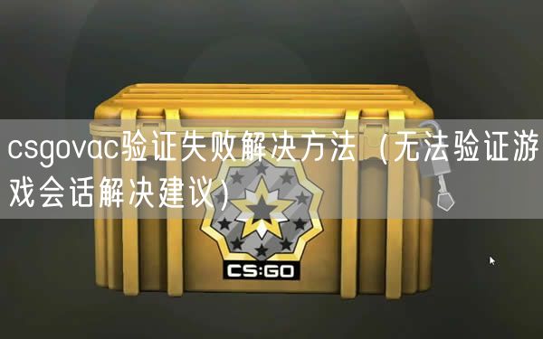 csgovac验证失败解决方法(无法验证游戏会话解决建议)