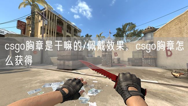 csgo胸章是干嘛的/佩戴效果，csgo胸章怎么获得