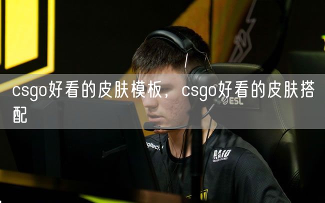 csgo好看的皮肤模板,csgo好看的皮肤搭配
