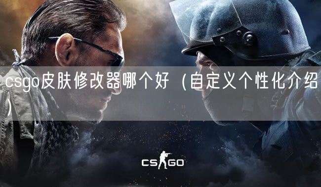 csgo皮肤修改器哪个好(自定义个性化介绍)