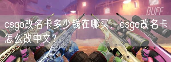 csgo改名卡多少钱在哪买,csgo改名卡怎么改中文?