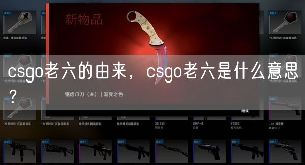 csgo老六的由来，csgo老六是什么意思？