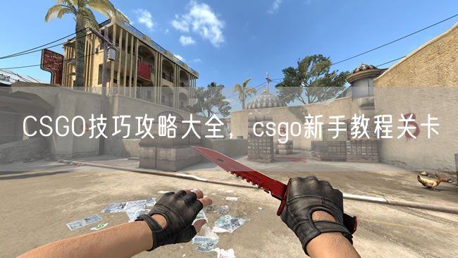 CSGO技巧攻略大全,csgo新手教程关卡