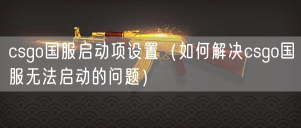 csgo国服启动项设置(如何解决csgo国服无法启动的问题)