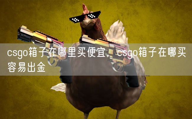 csgo箱子在哪里买便宜，csgo箱子在哪买容易出金
