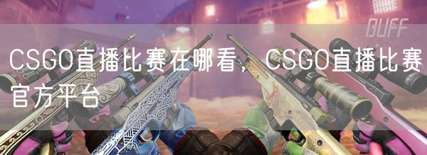 CSGO直播比赛在哪看,CSGO直播比赛官方平台